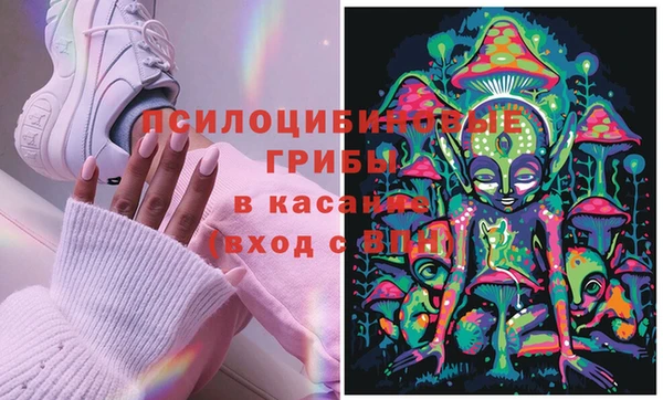 ECSTASY Аркадак